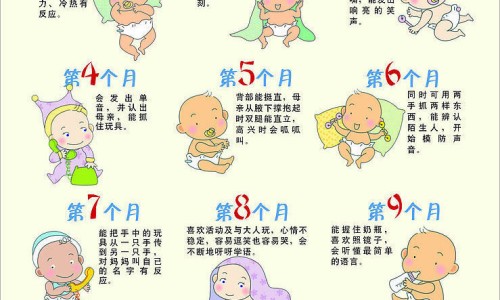 试管婴儿应注意事项有哪些-做试管婴儿注意事项-专业做试管婴儿注意事项有哪些平台-做试管婴儿后需要注意事项