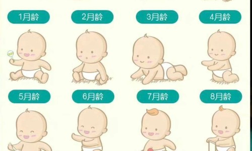 试管婴儿做哪些准备-做试管婴儿注意事项-专业做试管婴儿注意事项有哪些平台-做试管婴儿后需要注意事项